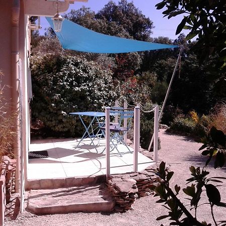 Les Florides Lägenhet LʼIsle-sur-la-Sorgue Exteriör bild