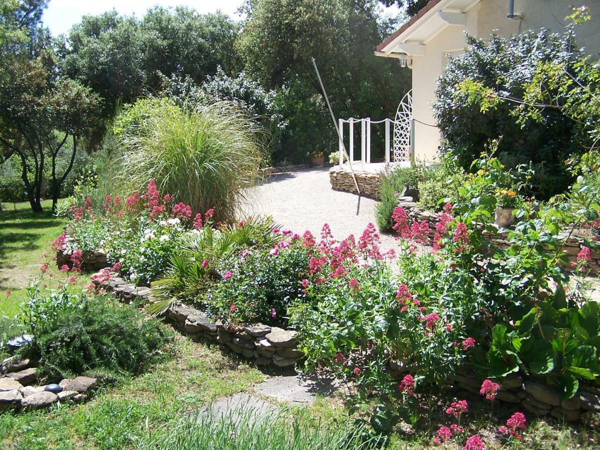 Les Florides Lägenhet LʼIsle-sur-la-Sorgue Exteriör bild