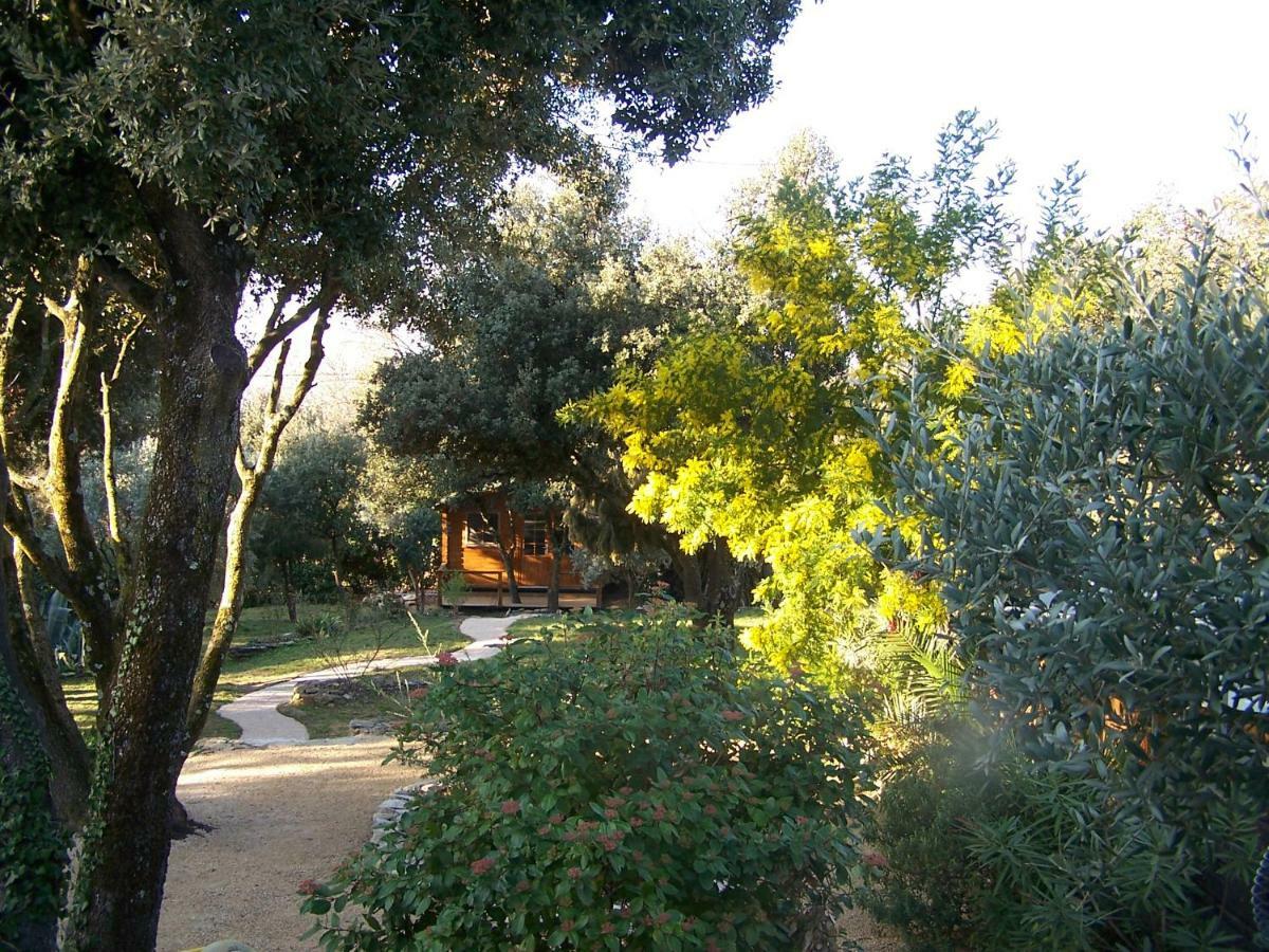 Les Florides Lägenhet LʼIsle-sur-la-Sorgue Exteriör bild